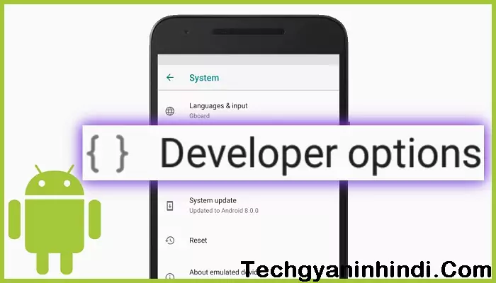 developer-option kya hai