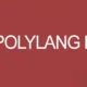 Polylang Pro v3.3.3 – Multilingual Plugin